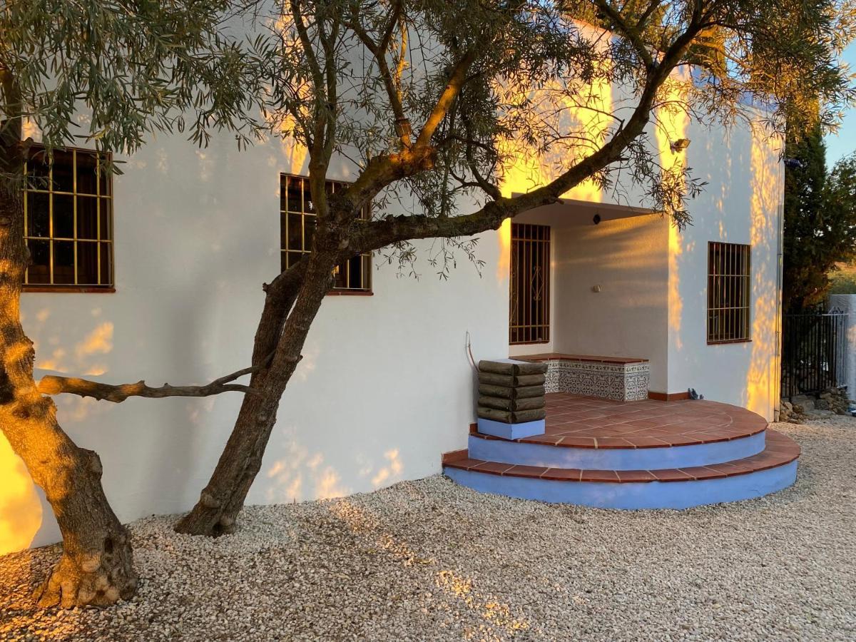أنتيكيرا Dragonfly House Spain المظهر الخارجي الصورة